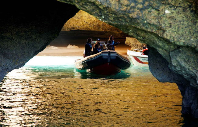 Avistamento de golfinhos em Albufeira - Foto 4