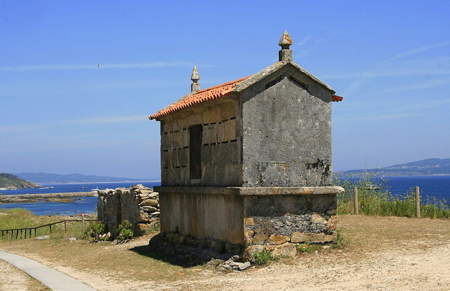 Excursión a las islas de Ons y Sálvora - Foto 1