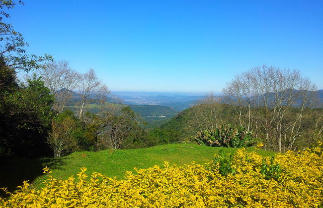 Day Trip to Igrejinha & the Khadro Ling Buddhist Temple - Photo 4