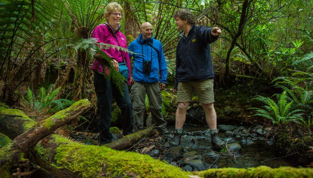 Visitando a selva de Mavista, na ilha Bruny