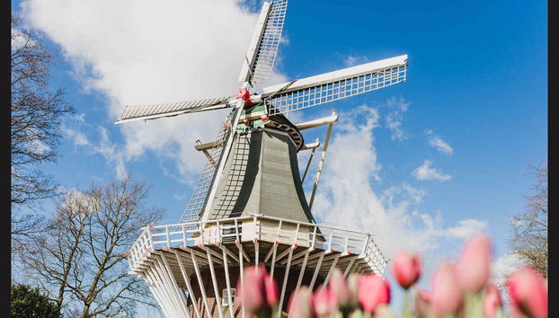 Excursión privada desde Ámsterdam - Foto 4