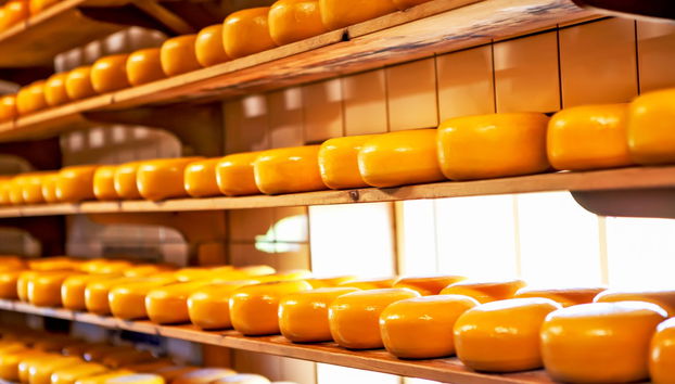 Excursão privada saindo de Amsterdam - Foto 3