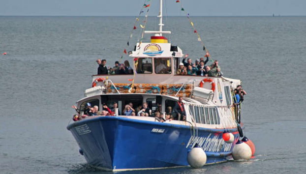 Forth Boat Tour - Photo 4