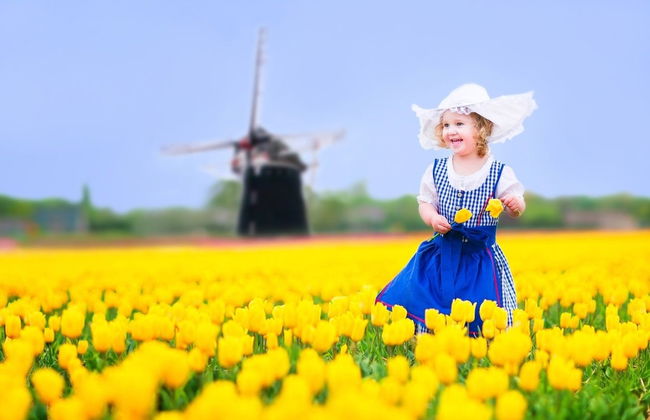 Excursion à Delft et au parc de Keukenhof - Photo 4