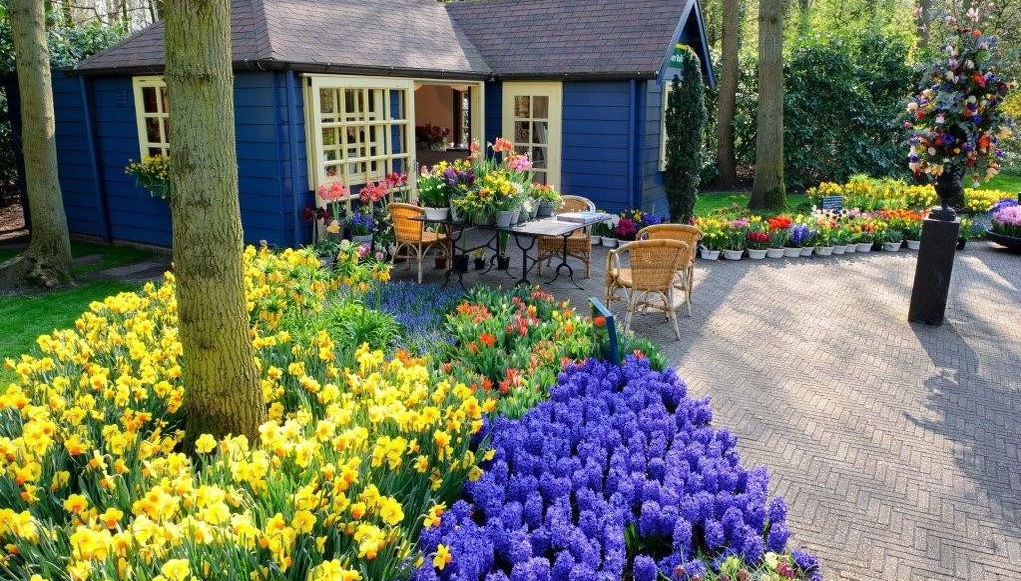 Keukenhof & Delft Day Trip - Foto 1