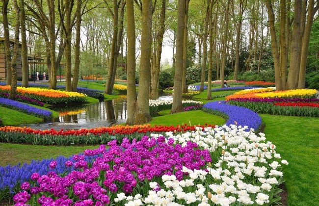 Excursion à Delft et au parc de Keukenhof - Photo 2