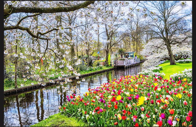 Excursão ao Keukenhof e a Delft - Foto 2