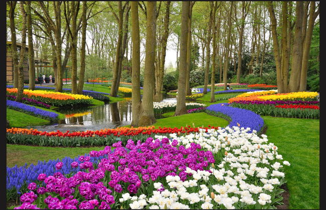 Excursão ao Keukenhof e a Delft - Foto 1