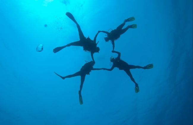 Beginners Scuba Diving in Barcelona - Photo 6