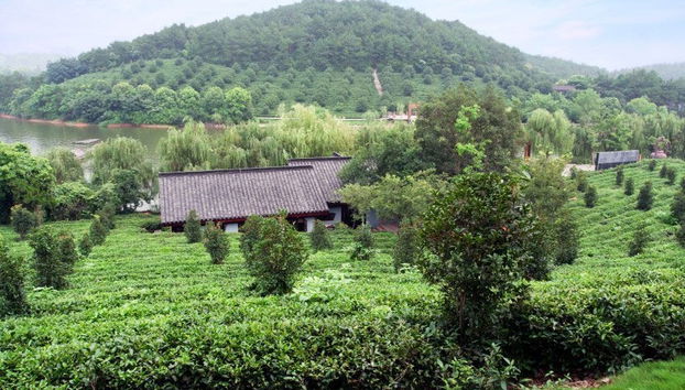 Excursión privada a Hangzhou - Foto 3