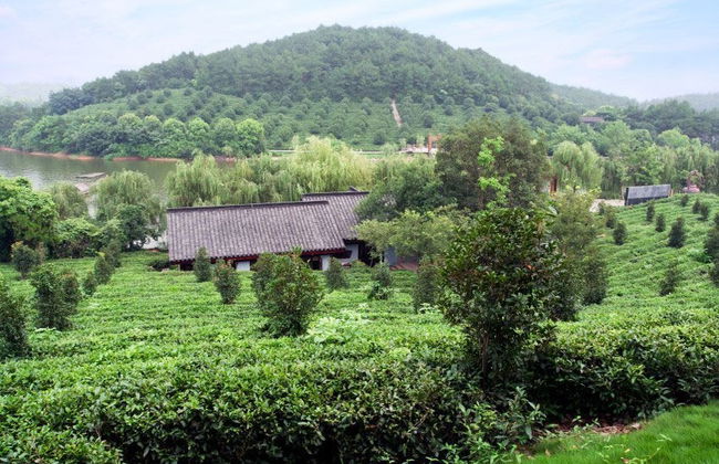 Excursión privada a Hangzhou - Foto 3