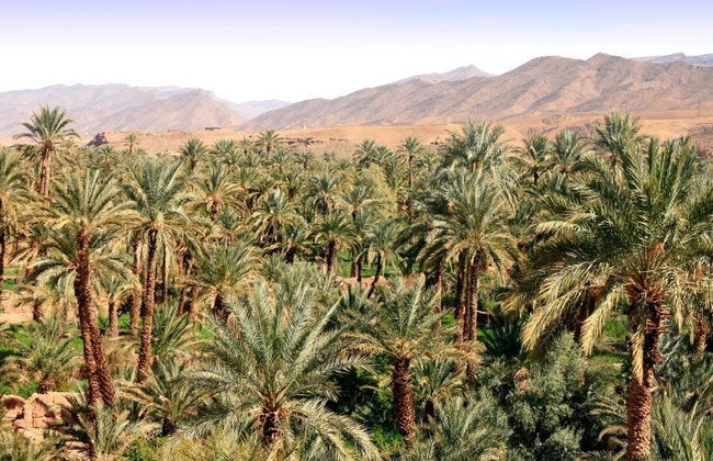 Tour privato di 5 giorni di avventura: percorso Dakar e Merzouga - Foto 3