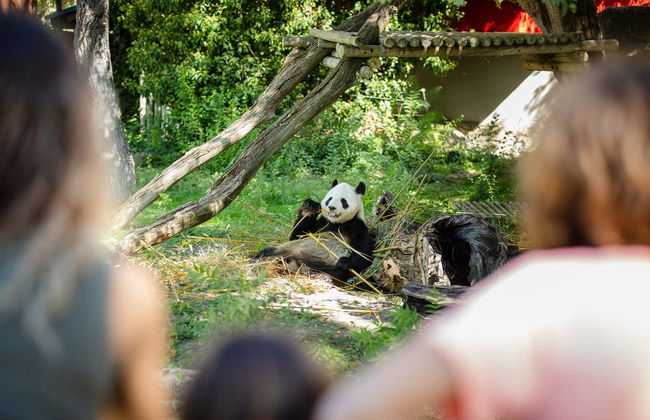Zoo Aquarium Madrid - Foto 6