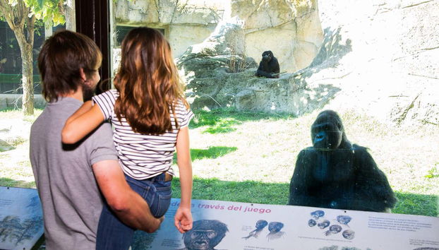 Biglietti per lo Zoo Aquarium - Foto 5