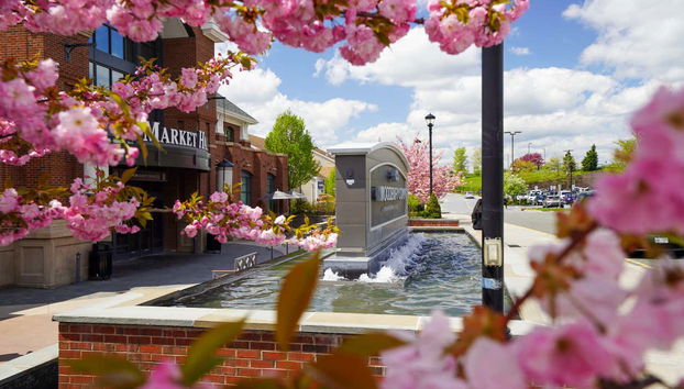 Shopping Day Trip to the Outlets - Photo 4