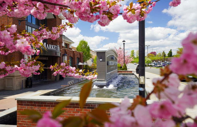 Tour de compras por los outlets - Foto 4