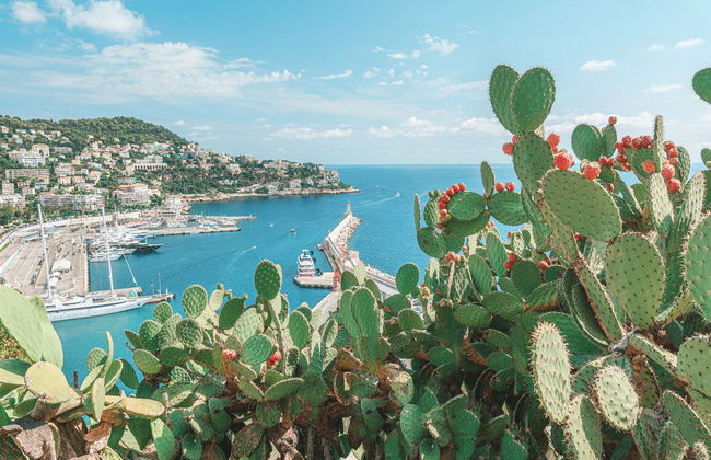 Tour en bicicleta eléctrica por Niza - Foto 2