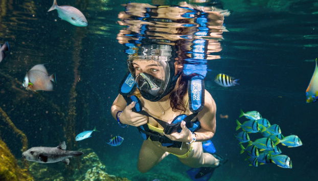 Xel-Há Natural Park Day Trip - Photo 4
