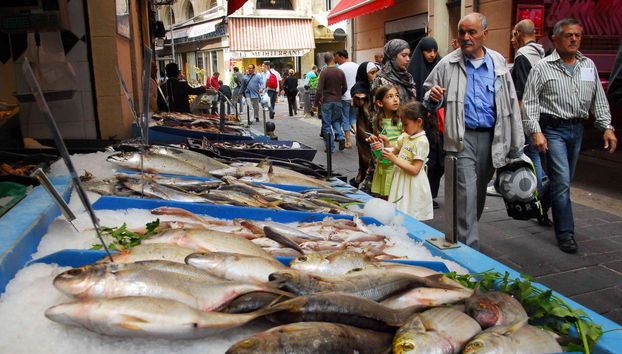 Noailles Guided Tour - Photo 3