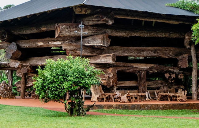 Tour privado por Puerto Iguazú - Foto 2