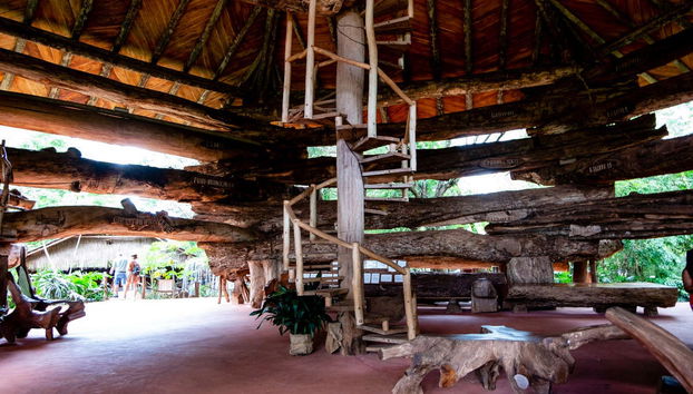 Tour privado por Puerto Iguazú - Foto 3