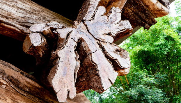 Tour privado por Puerto Iguazú - Foto 2