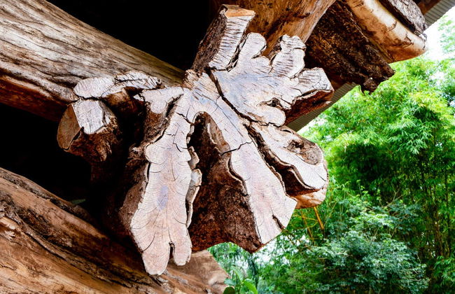 Puerto Iguazú Private Tour - Foto 2