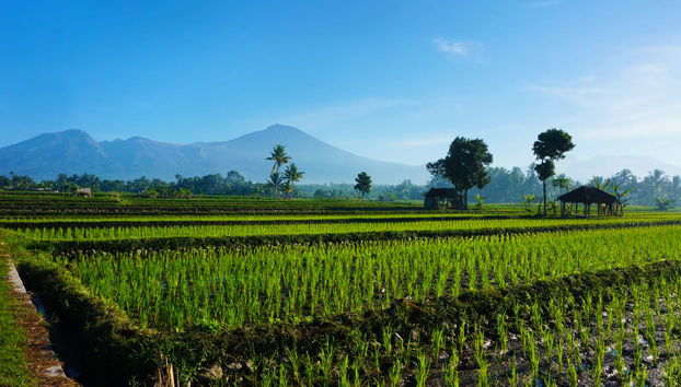 Lombok Boat Trip from Bali - Foto 3