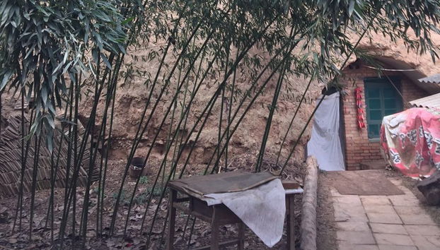 Xi'an Terracotta Army & Cave Dwellings Private Tour - Photo 2