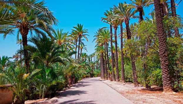 Free tour por Elche - Foto 2