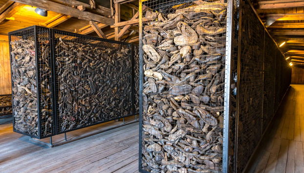 Majdanek Concentration Camp & Lublin Private Tour - Foto 5