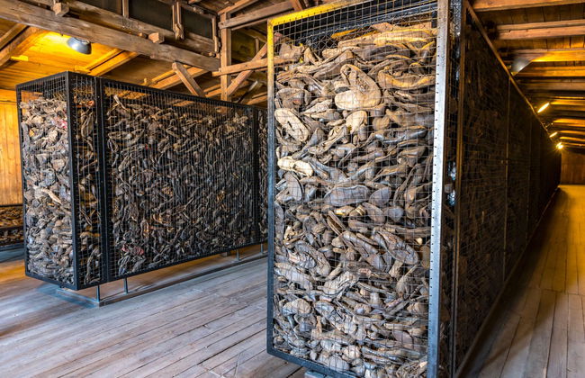 Majdanek Concentration Camp & Lublin Private Tour - Foto 5