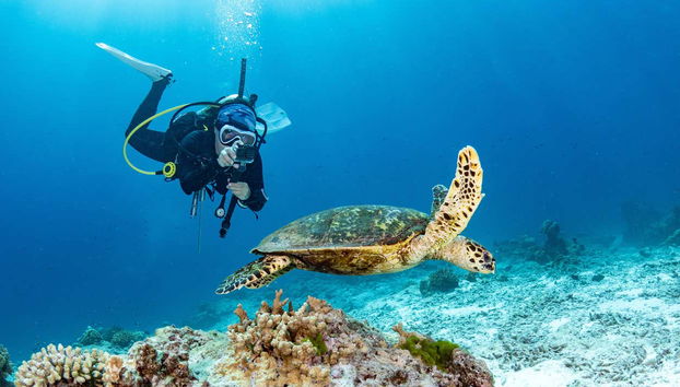 Immersione per principianti a San Juan - Foto 2