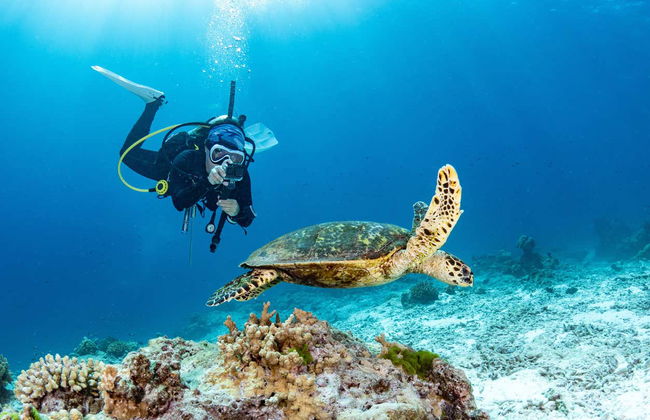 Bautismo de buceo en San Juan - Foto 2