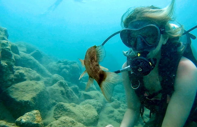Bautismo de buceo en San Juan - Foto 4