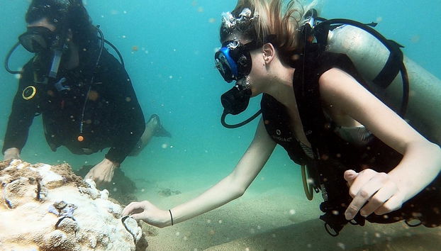 Immersione per principianti a San Juan - Foto 3