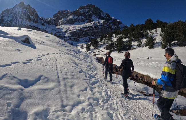 Passeio com raquetes de neve pelo Valle de Tena - Foto 5