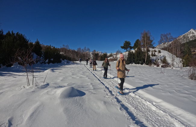 Passeio com raquetes de neve pelo Valle de Tena - Foto 7