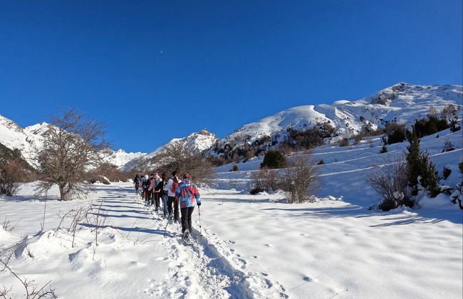 Passeio com raquetes de neve pelo Valle de Tena - Foto 6
