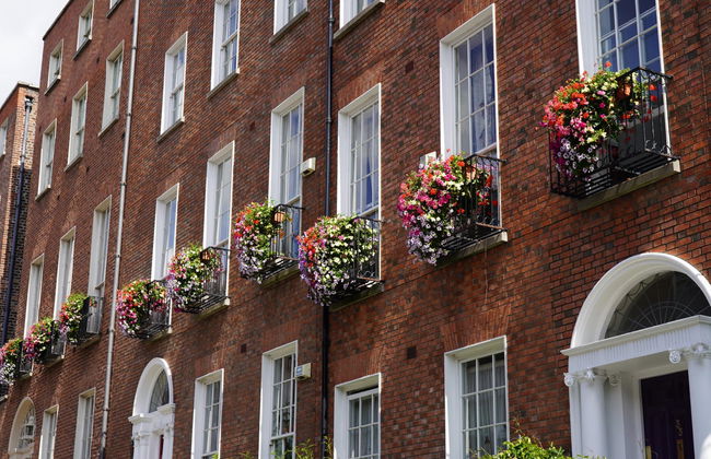 Free tour por el barrio georgiano - Photo 4