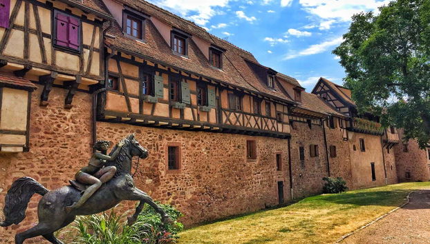 Tour de Alsacia al completo con audioguía - Foto 5