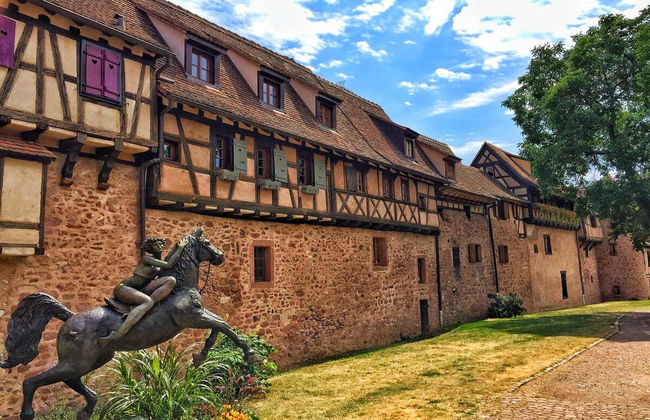 Tour completo pela Alsácia com audioguia - Foto 4