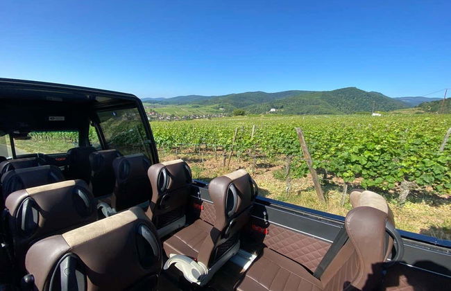 Tour completo pela Alsácia com audioguia - Foto 6