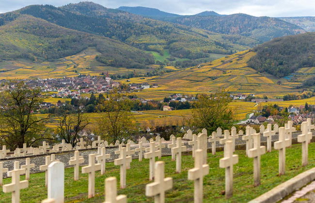 Tour completo pela Alsácia com audioguia - Foto 1