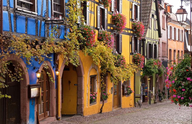 Tour completo pela Alsácia com audioguia - Foto 7