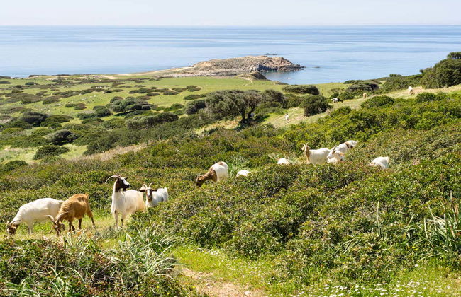 Costa Verde Hiking Route - Foto 7