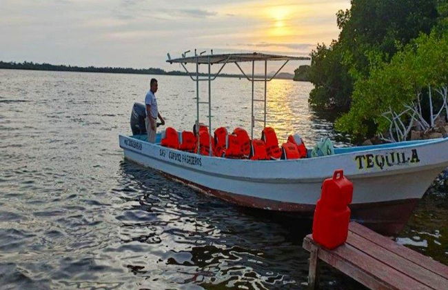 Uma experiência de observação de bioluminescência na Lagoa Manialtepec - Tour noturno - Foto 2