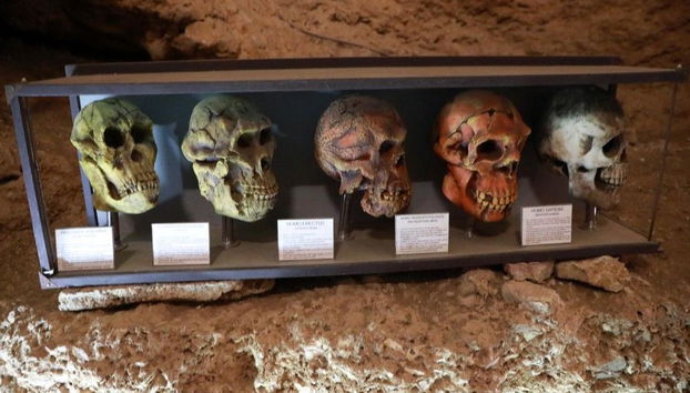 Coast and Caves: Discover Benissa and Moraira - Full-Day Tour - Foto 5