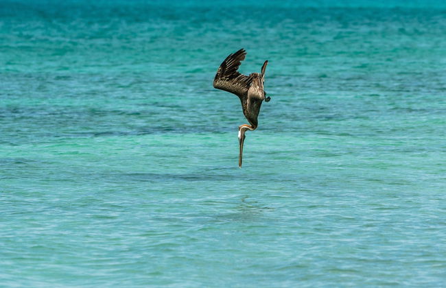 Bahia de las Aguilas: 2-Day Trip - Photo 3