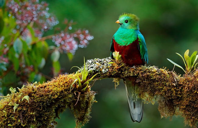 Trilha pela Reserva Curi Cancha - Foto 2